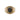 Estate Black Star Sapphire Cabochon in Ornate Engraved Mounting in 14K Yellow Gold